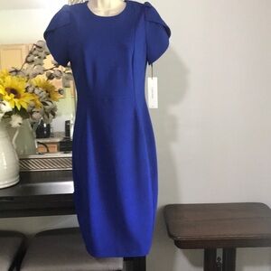 Calvin Klein Blue Sheath Dress with Puff Cap Sleeves